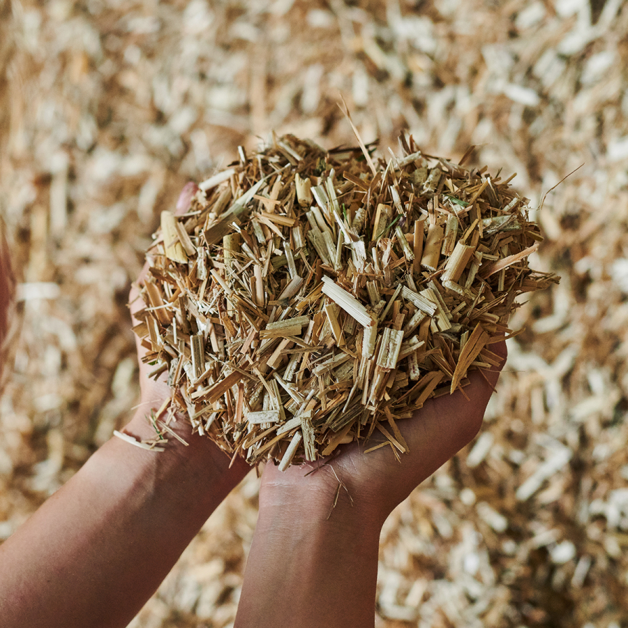 mulch-2.jpg