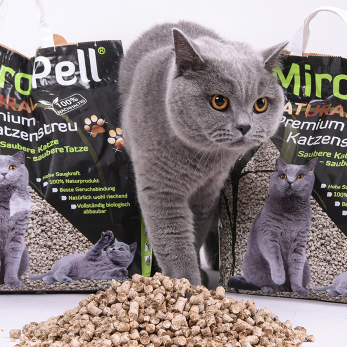 katzenstreu-1.jpg